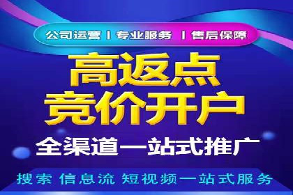 百度广告推广案例解析